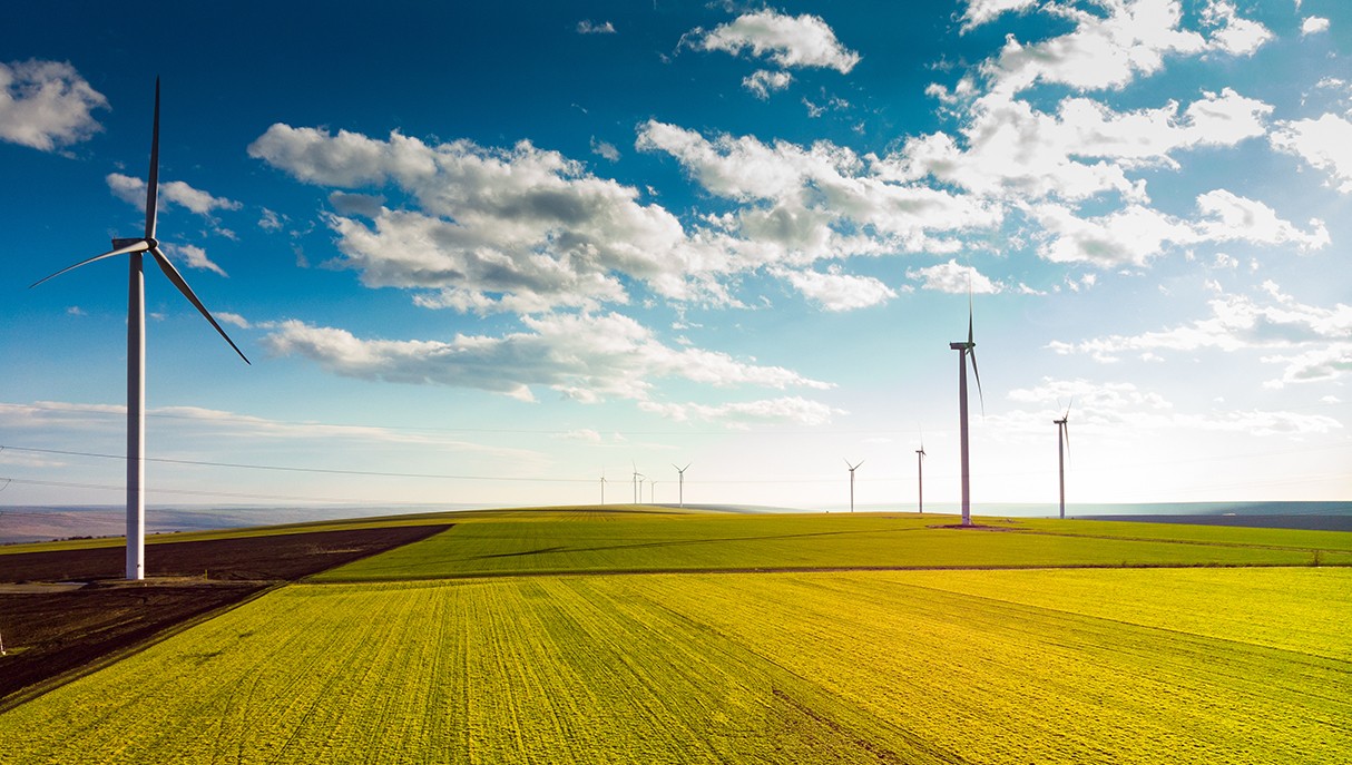 1761705730752029098.jpg 蒙特@0.3x.jpg